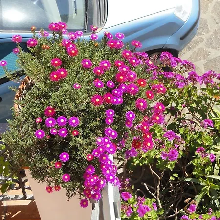 Chiaia Apartments Ponza Chambre photo